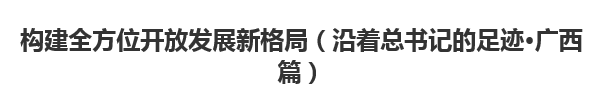 【人民日报】构建全方位开放发展新格局（沿着总书记的足迹·广西篇）