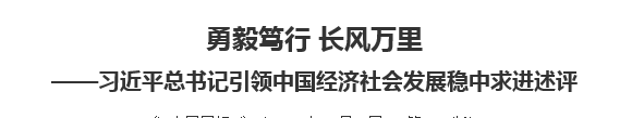 【人民日报】勇毅笃行 长风万里习近平总书记引领中国经济社会发展稳中求进述评