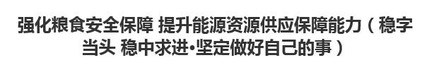 【人民日报】强化粮食安全保障 提升能源资源供应保障能力（稳字当头 稳中求进·坚定做好自己的事）